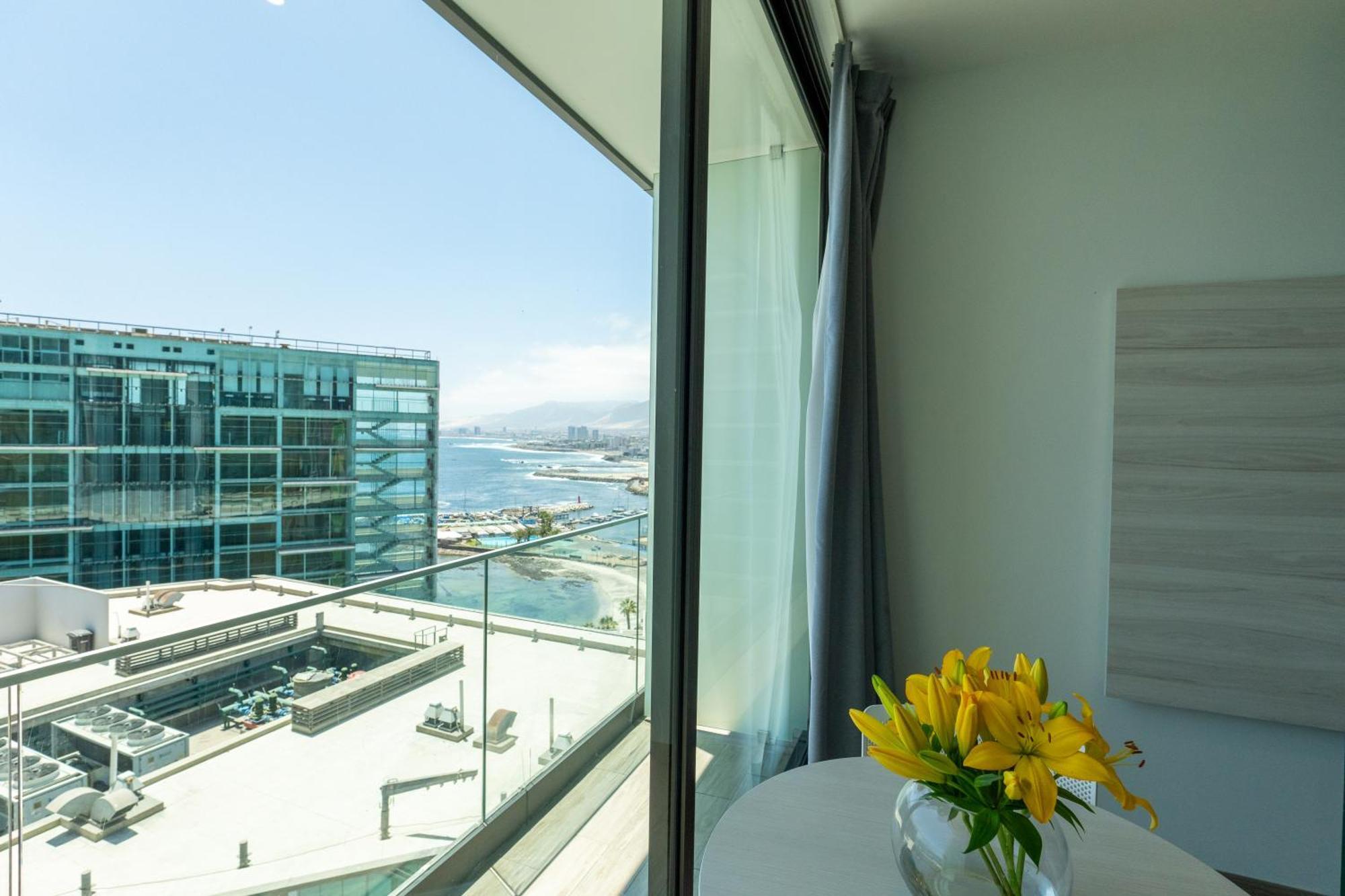 Studio 56 By Terrado Antofagasta Exteriör bild